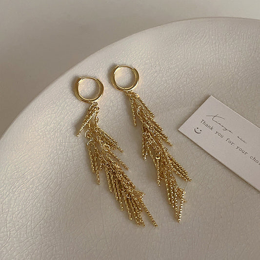 All-matching Thin-looking Earrings Silver Tassel Earrings Female Light Luxury Minority Design Sense