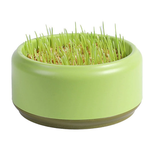 Potted Seeds Soilless Hydroponic Cat Grass