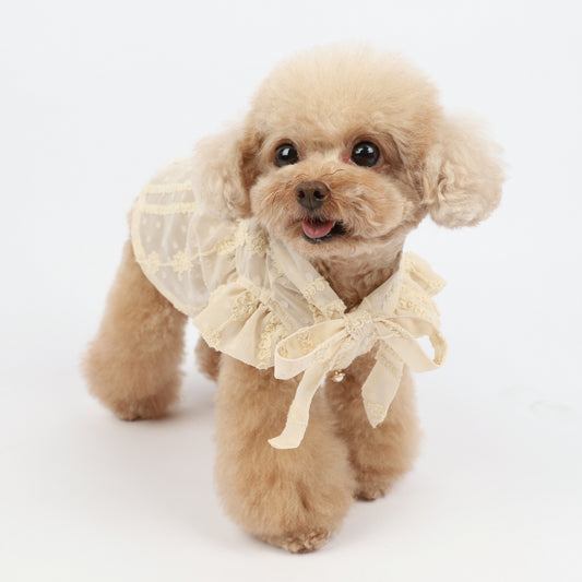 Pet Dog Summer Spring Lovely Dress