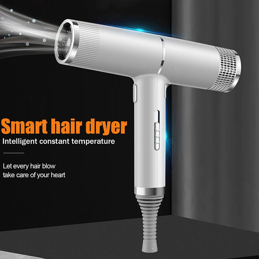 Professional High-Power Ionic Portable Hair Dryer Blue Light Fast Drying New Concept for Hotels Metal Material Hot Sale