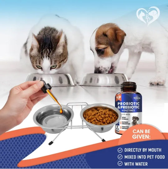 Probiotics Prebiotics With Enzymes For Dogs And Cats Digestive Gut Flora Health Pet Food Supplements