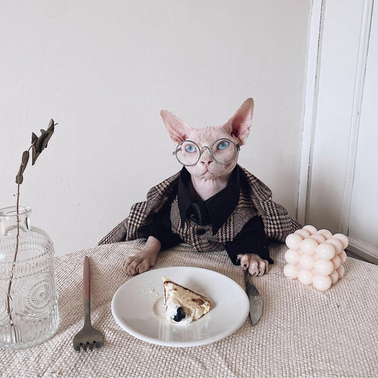Hairless Cat Clothes Sphinx Cat German Suit Shirt Outfit