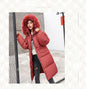 Korean Style Plus Size Slim-fit Hooded Women's Down Jacket