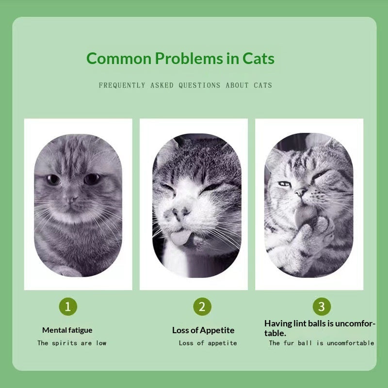 Catnip Cat Grass Cat Snacks Help With Hairball Removal And Oral Cleaning
