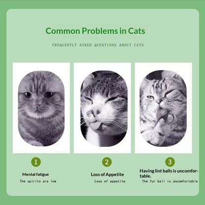Catnip Cat Grass Cat Snacks Help With Hairball Removal And Oral Cleaning