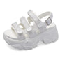 Sports Daddy Sandals New Summer Velcro