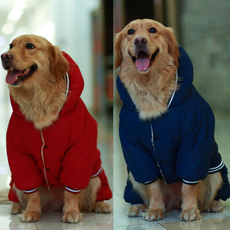Medium and large dog cotton coat warm jacket