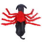 Pet Cat Dog Halloween Creative Spider Costume