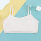 Developmental Girl Bra Adolescent Quilted Cotton Underwear