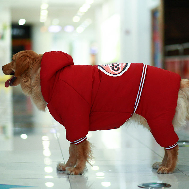 Comfortable dog winter jacket