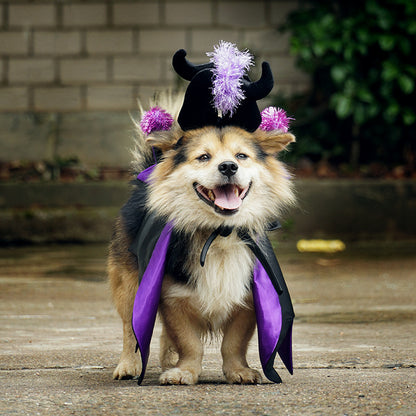 Halloween Pet Cat Dog Demon Cloak Horn Hat Cosplay Costume