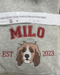 Personalized Embroidered Pet Hoodie