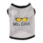 Pet clothes dog clothes cat clothes