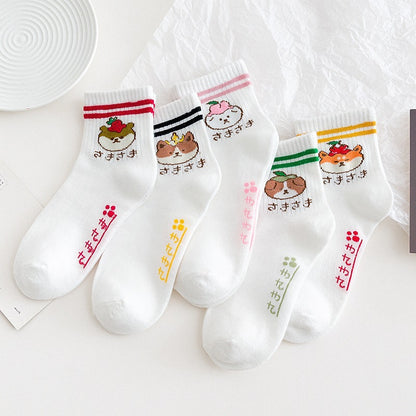 Fashionable And Warm Women Socks Fall In Tube