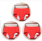 Period Leak Proof Panties Women Underwear Pants Nylon Briefs