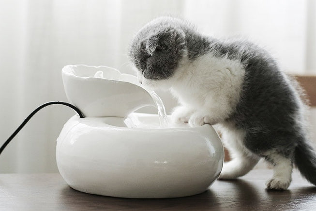 Pet Ceramic Automatic Cat Leaf Water Dispenser
