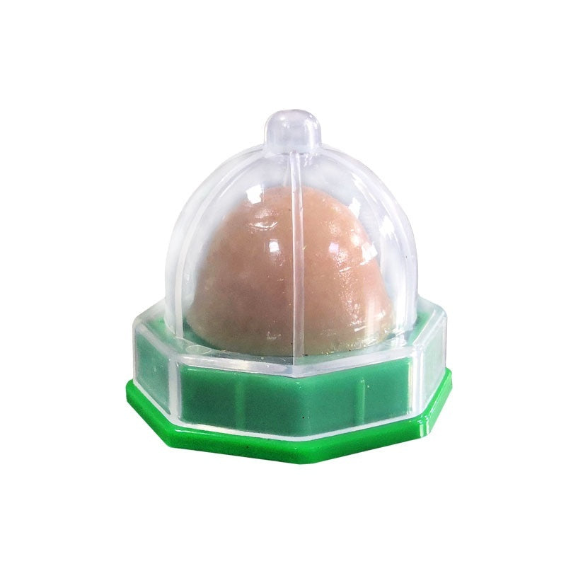 Dog Sugar Licking Music Pet Snacks Cat Sugar Dog Food Cat Pet Supplies