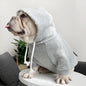 Pet with fleece hoodie