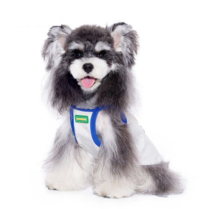 Bichon Maltese Small Dog Pet Summer Bra Top