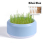 Potted Seeds Soilless Hydroponic Cat Grass