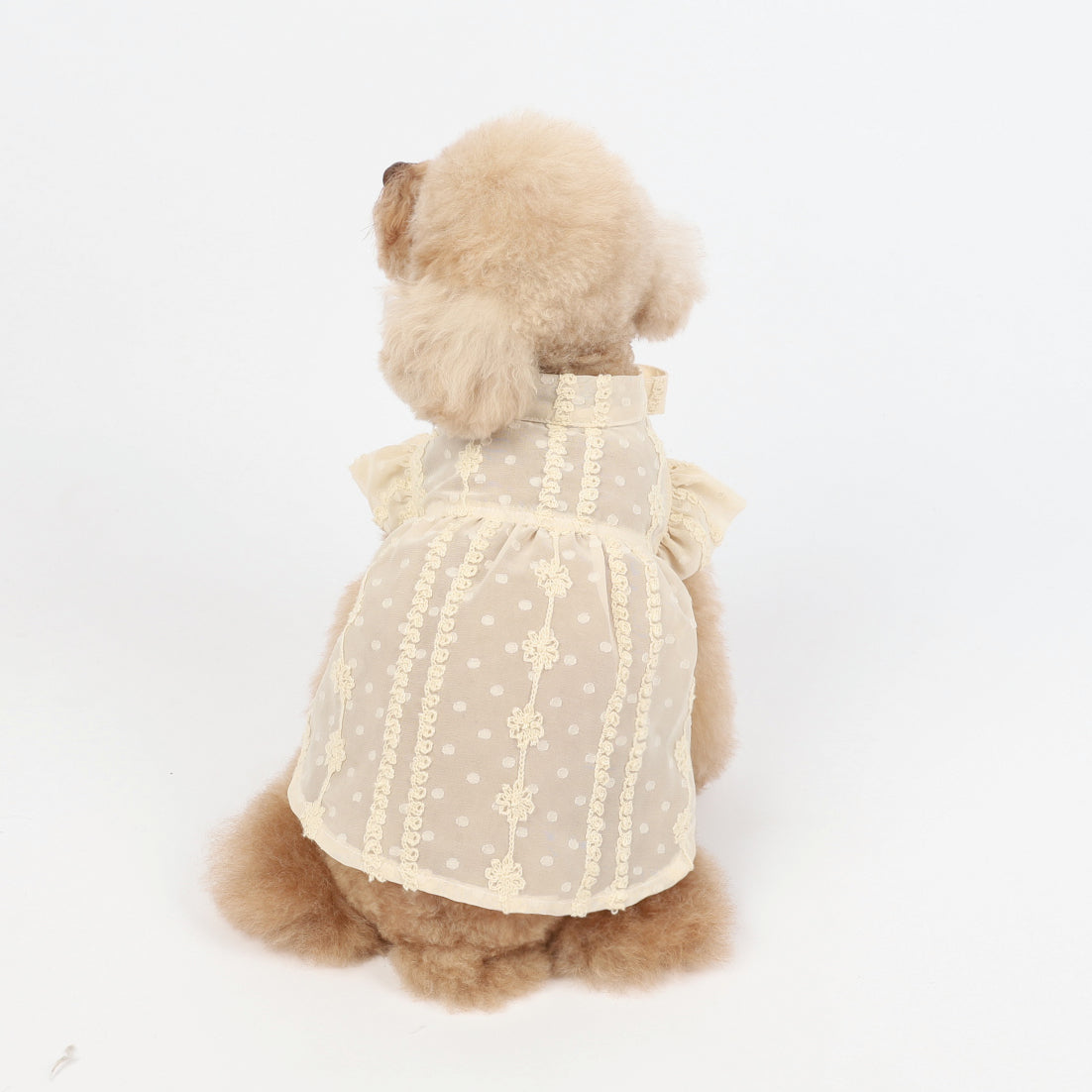 Pet Dog Summer Spring Lovely Dress