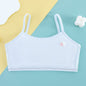 Developmental Girl Bra Adolescent Quilted Cotton Underwear