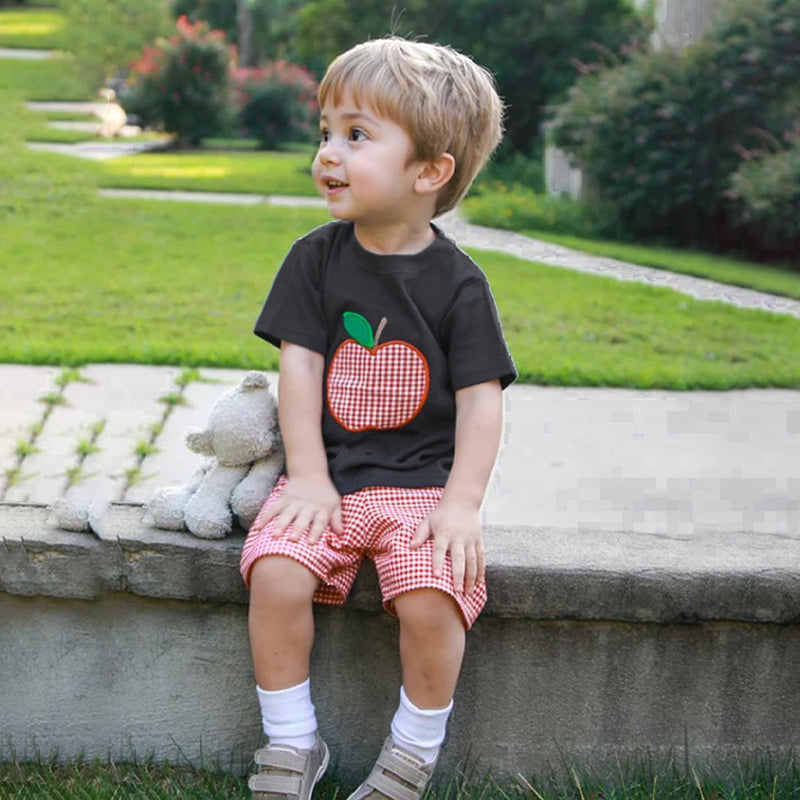 Toddler Baby Boy Back To School Outfit Summer Applique T-Shirt & Red Gingham Shorts Set
