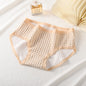 Cartoon Cute Little Bear Student Underwear Girl