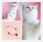 Pet Cat Beads Love Necklace
