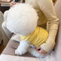 Summer Thin Pet Stripe Tank Top