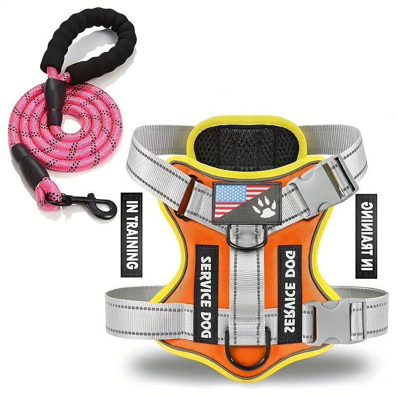 Outdoor dog walking gear