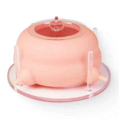 Benepaw Newborn Pet Milk Feeder For Multiple Puppies Kittens 4 Nipples Puppy Milk Feeding Bowl With Stand Nursing Station 200ml