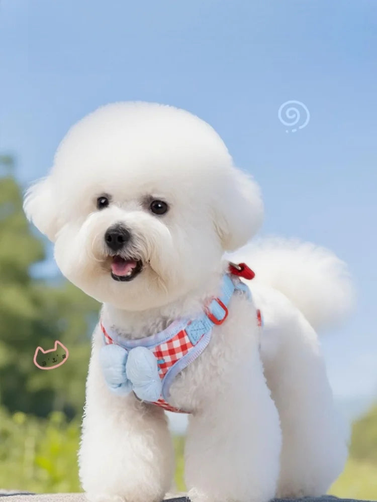 New Dog Harness  Air Cushion Breathable Soft Mesh Cat Vest Adjustable No-Pull Pet Harness for  Small Medium Large Dogs Puppies