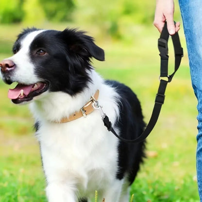 Pet car seat belt, nylon leash, rear seat belt, adjustable dog safety harness collar, pet accessories