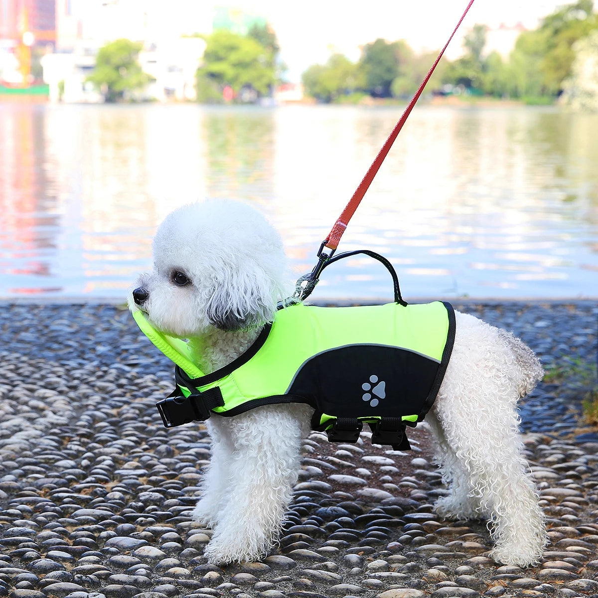 Premium Summer Dog Life Jacket Adjustable Pet Swimwear Safety Buoyant Vest for Small Medium Large Dogs Water Play