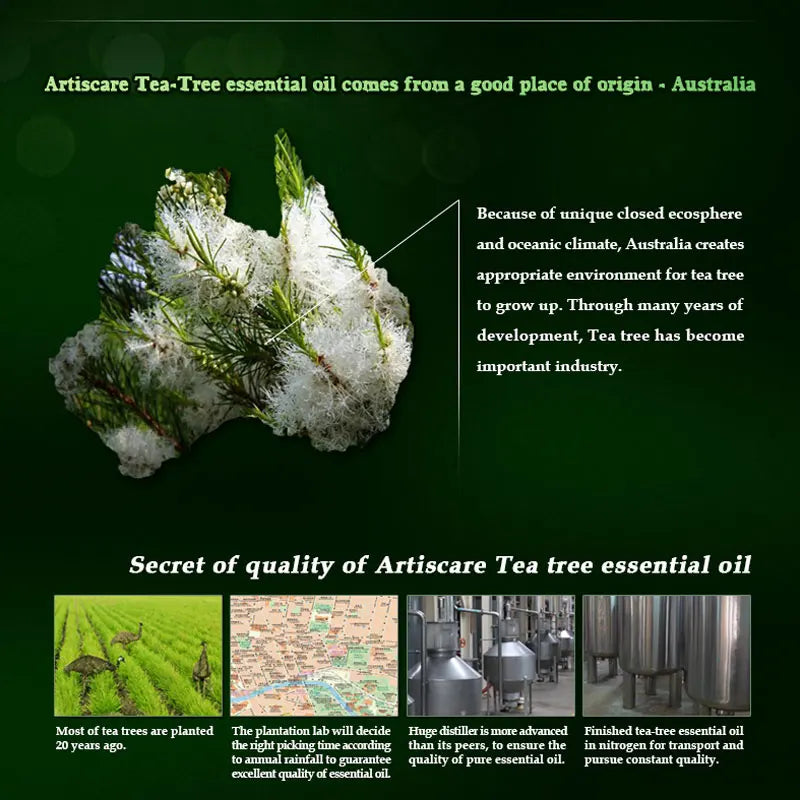 ARTISCARE pure tea tree essential oil 10mL blackhead Oil-control massage oil skin care cosmetics