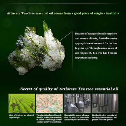 ARTISCARE pure tea tree essential oil 10mL blackhead Oil-control massage oil skin care cosmetics