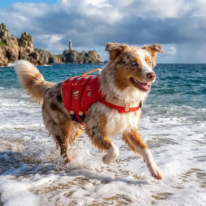 Waterproof Dog Life Jacket Breathable High Buoyancy Dog Swimming Suit Adjustable Thick Sponge Pad Dog Life Preserver Swimming