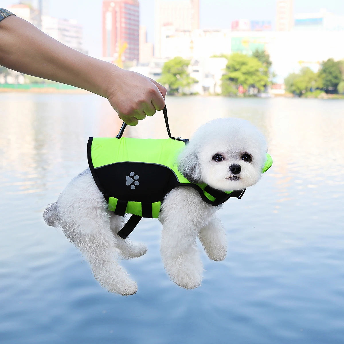 Premium Summer Dog Life Jacket Adjustable Pet Swimwear Safety Buoyant Vest for Small Medium Large Dogs Water Play