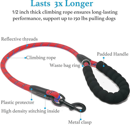 Double Dog Leash, Dual Dog Leash, 360 Swivel Tangle Free Bungee Walking Training Leash for Large Medium Dogs, Shock Absorbing Bu