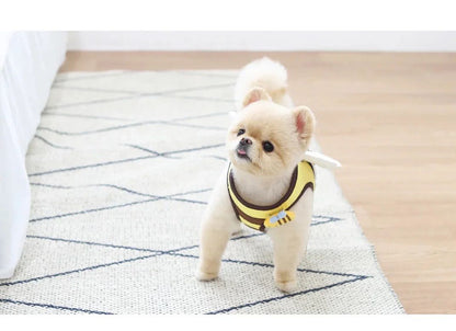 Cute Bee Kitten Puppy Dogs Harness and Leash Set Soft Breathable Dogs Vest Harness Leads Pet Clothes for Small Dogs Chihuahua