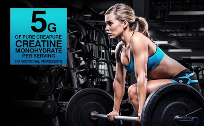 Micronized Creatine Monohydrate Powder, 99.99% Pure Creapure for Muscle Growth, Strength & Performance, Supports Muscle Recover