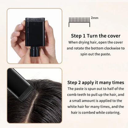 Life Girls Reabal with Hair Comb Coloring Gray Hair, Covering, Natural Glossy, Convenient to Carry, Convenient to Color on Comb, Dye Hair, Covering Your Outside, Convenient to Carry When Covering Ornaments