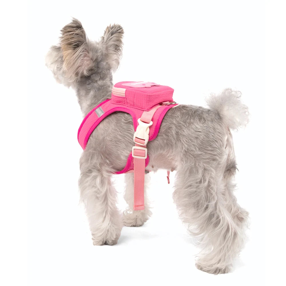 Dog Cat Harness and Leash Set, Reflective Adjustable Pet Vest with Backpack  for Small Medium dogs