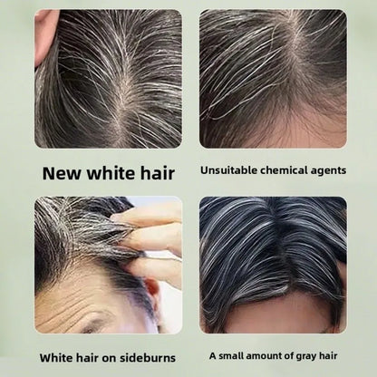 One-time Hair Dyeing Comb Precise Washable Temporary Hair Color Comb Volume Cover Gray Hair Hair Dye Mascara Costume