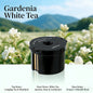 New Car Air Freshener Premium Smart Car Diffuser Cloud Mist Auto Spray High-End Car Air Freshener Car Accessories