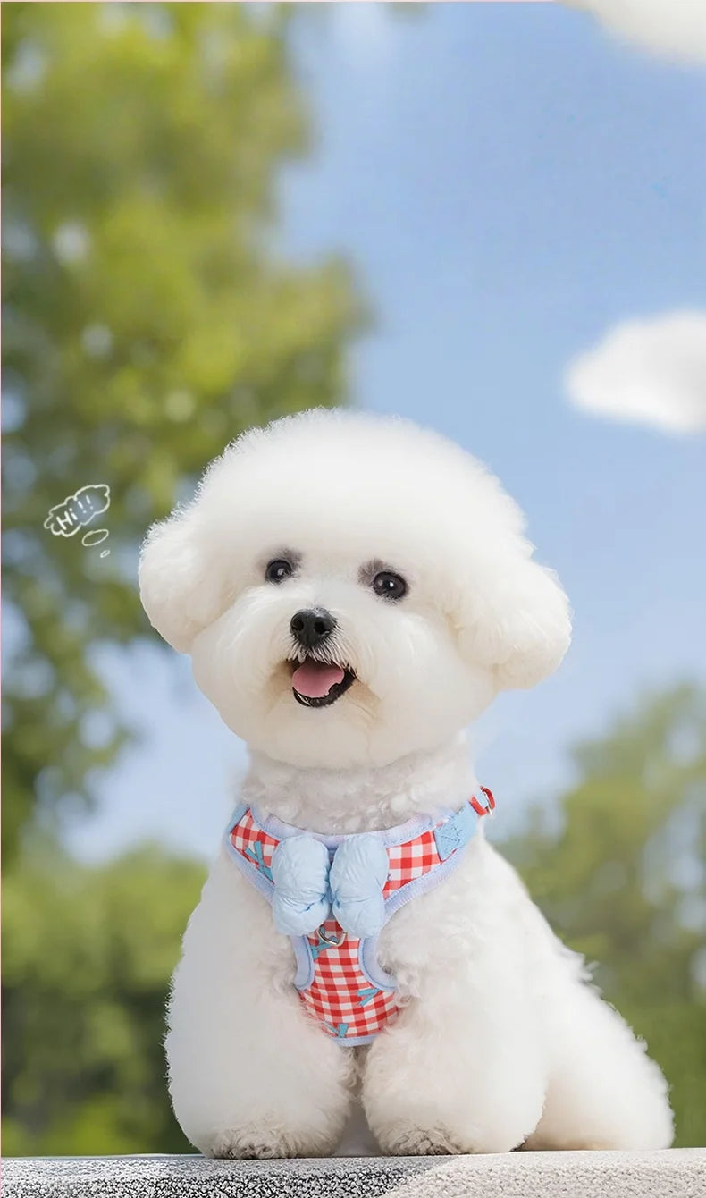 New Dog Harness  Air Cushion Breathable Soft Mesh Cat Vest Adjustable No-Pull Pet Harness for  Small Medium Large Dogs Puppies