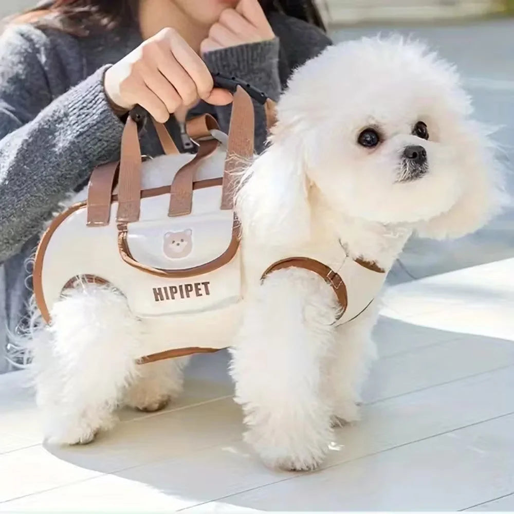 Cute Dog Backpack Carrier - Ideal for Small to Medium Pets - Ideal for Travel, Daily Use, Walking, Pet Carry Bag, Dog Carrier