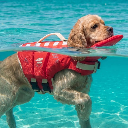 Waterproof Dog Life Jacket Breathable High Buoyancy Dog Swimming Suit Adjustable Thick Sponge Pad Dog Life Preserver Swimming