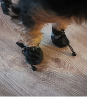 4 PCS set Of Waterproof Pet Dog Shoes, Anti Slip Soft Soled Rain Boots, Kitten Dog Shoes, Puppy Pet Boots, Pet Paw Accessorie